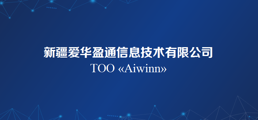 新疆爱华盈通信息技术有限公司